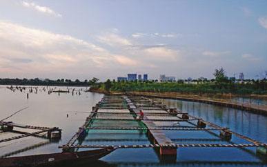 漁業(yè)水質(zhì)檢測(cè) 漁業(yè)水質(zhì)檢測(cè)