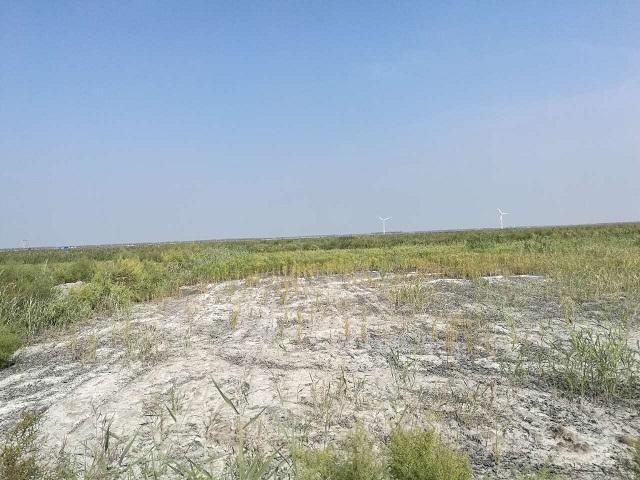 廣西土壤檢測(cè)怎么做